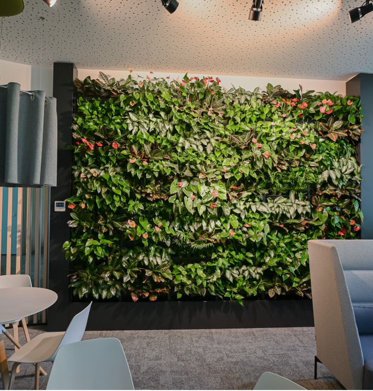 PlantBox - Živá stena 3 moduly