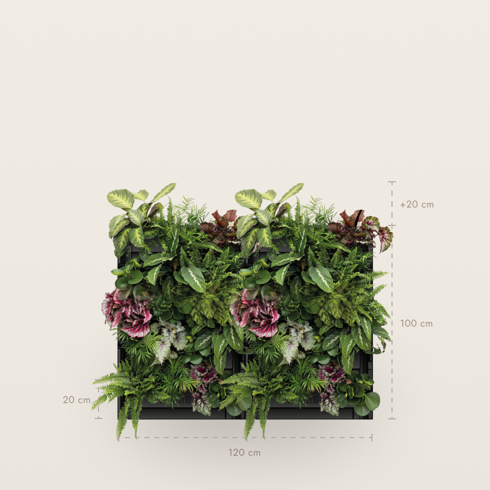 PlantBox - Živá stena 5 modulov
