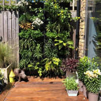 PlantBox