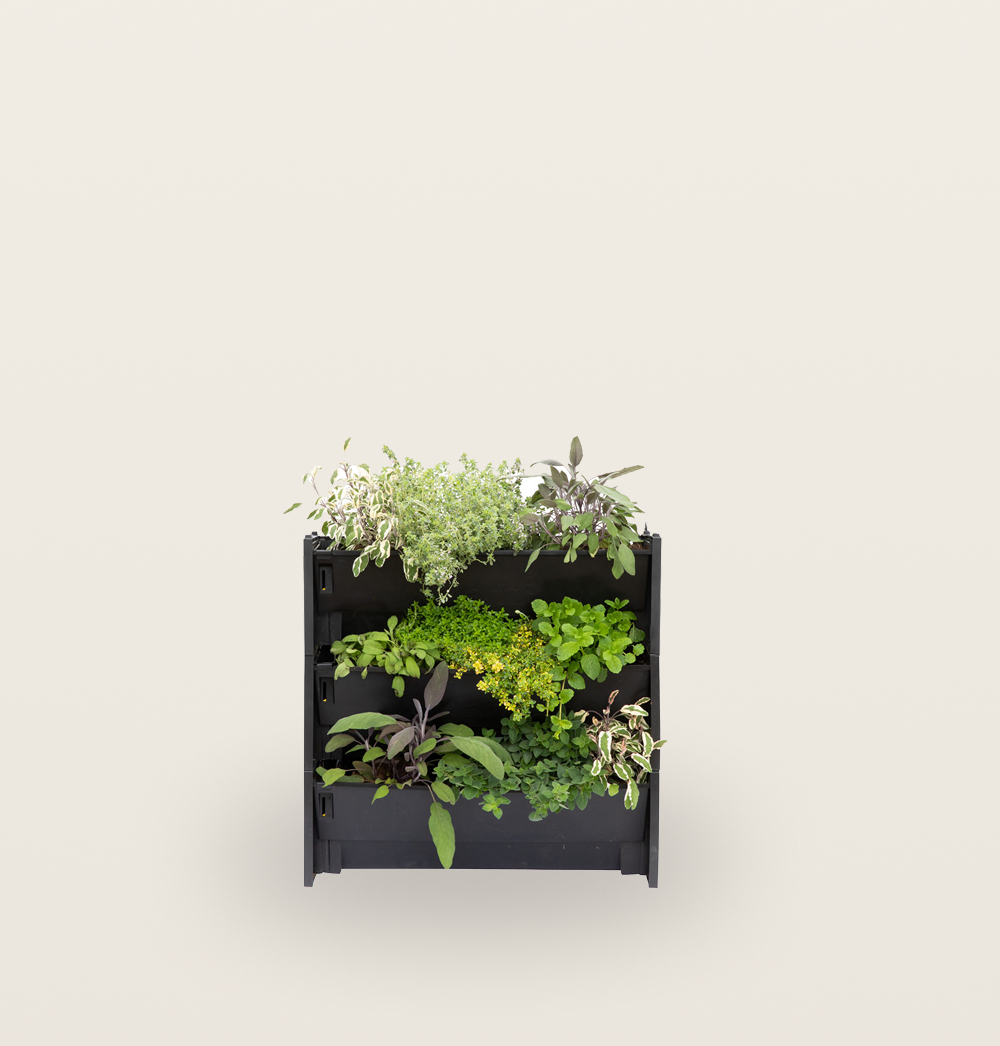 PlantBox - Živá stena 3 moduly