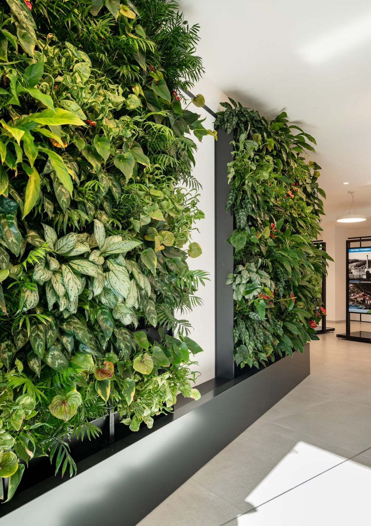 Balíček 3x Plantbox + interiérový substrát + hnojivo pre izbové rastliny + zátka