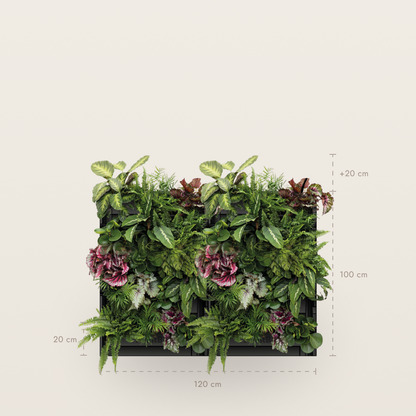 PlantBox - Živá stena 5 modulov