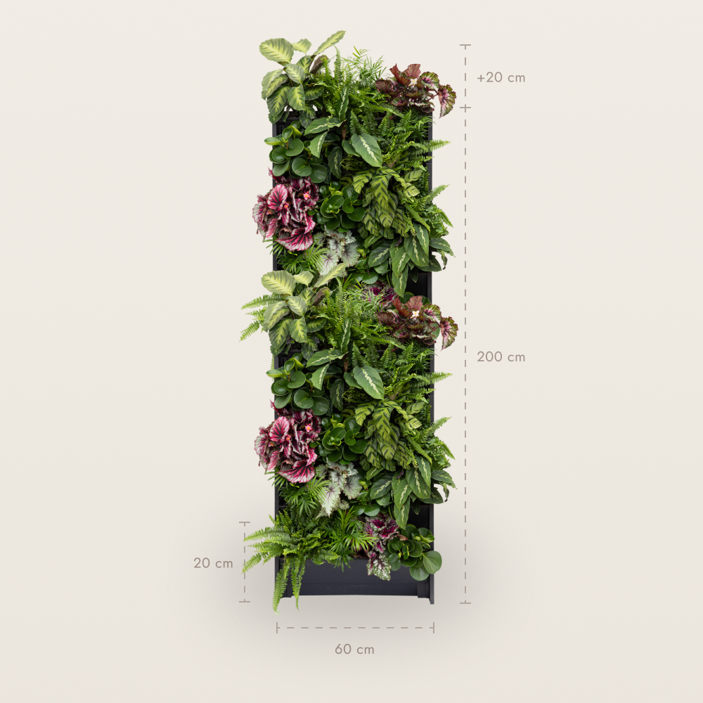 PlantBox – Živá stena 10 modulov
