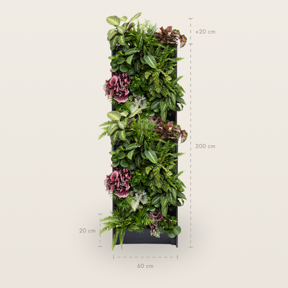 PlantBox – Živá stena 10 modulov
