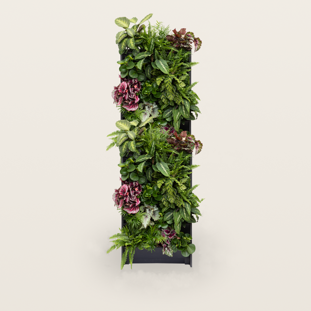 PlantBox – Živá stena 10 modulov
