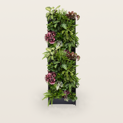 PlantBox – Živá stena 10 modulov