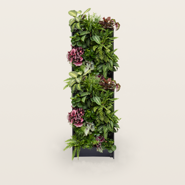 PlantBox – Živá stena 10 modulov