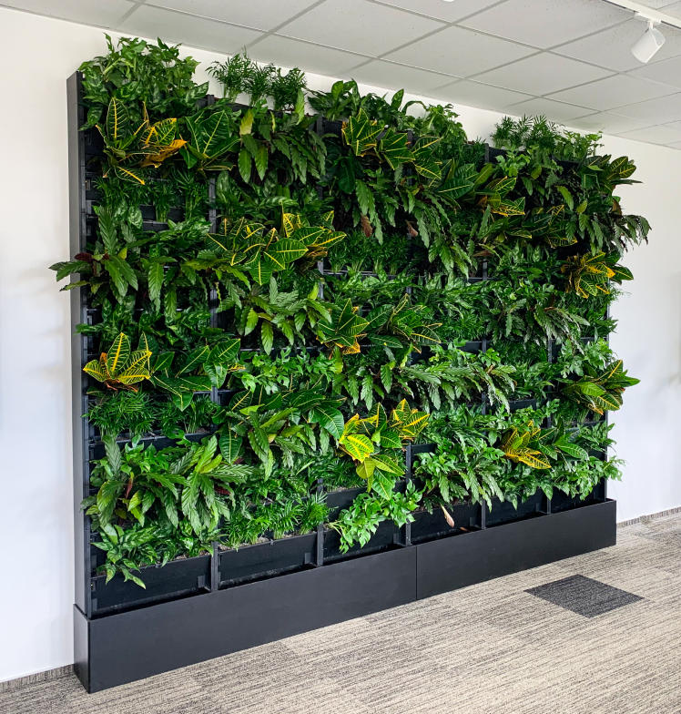 PlantBox - Živá stena 3 moduly
