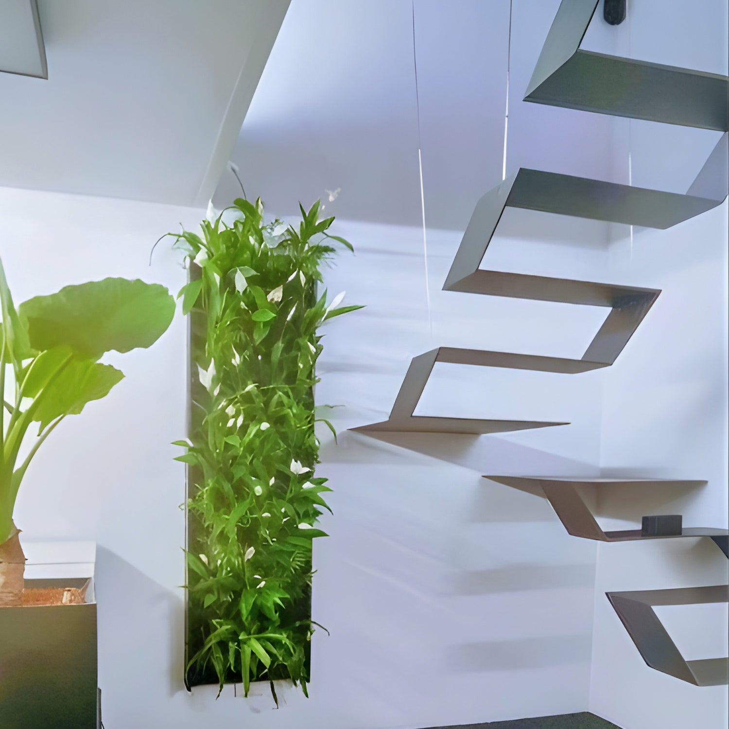 PlantBox - Živá stena 5 modulov