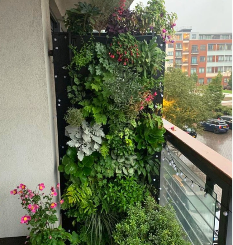 PlantBox - Živá stena 3 moduly