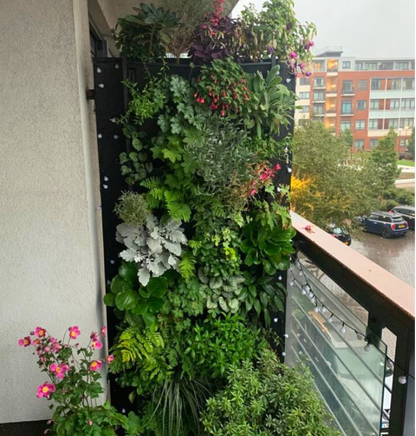 PlantBox - Živá stena 3 moduly