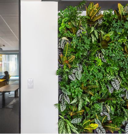 PlantBox - Živá stena 3 moduly