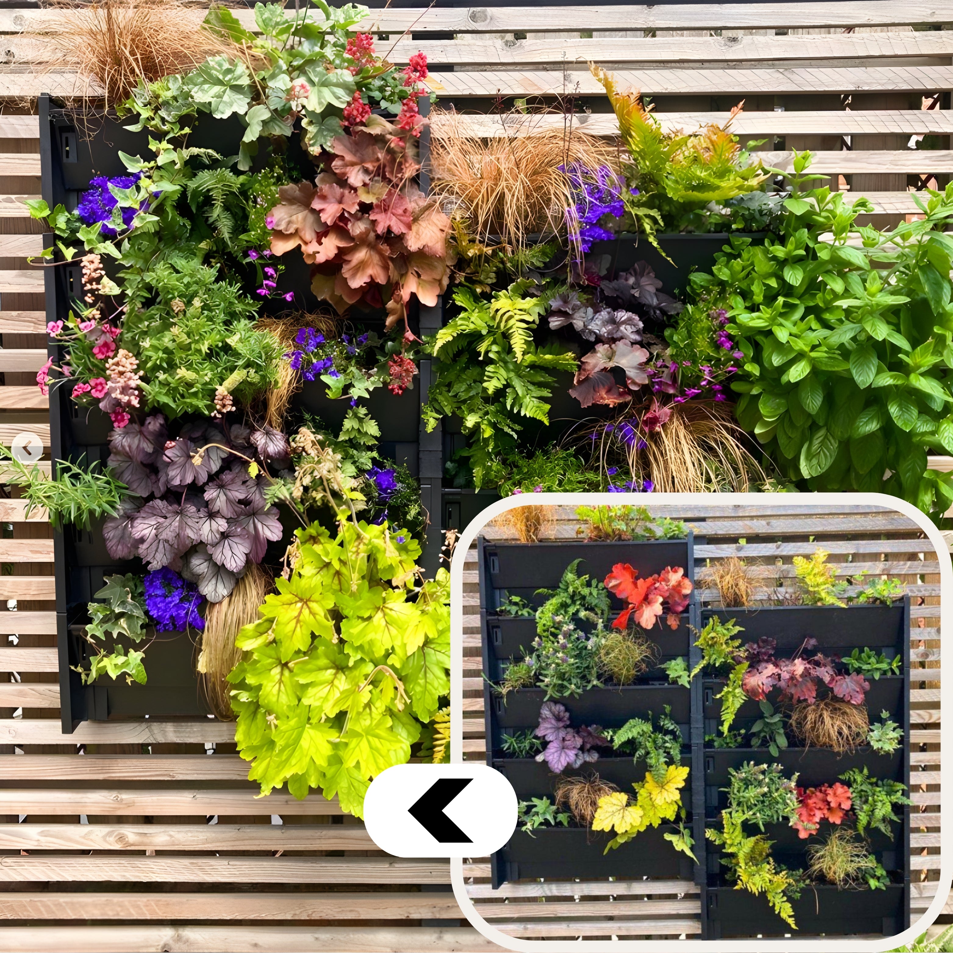 PlantBox – Živá stena 10 modulov