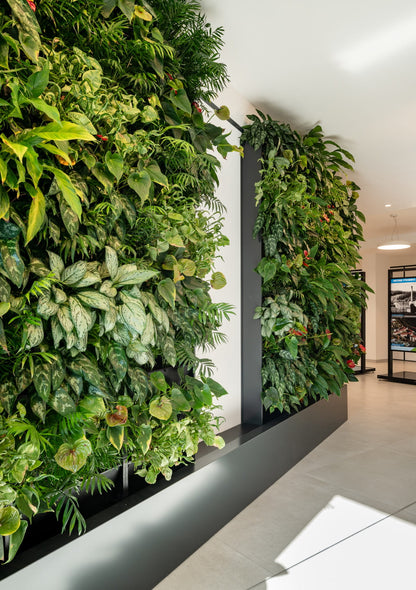 Balíček 3x Plantbox + interiérový substrát + hnojivo pre izbové rastliny + zátka
