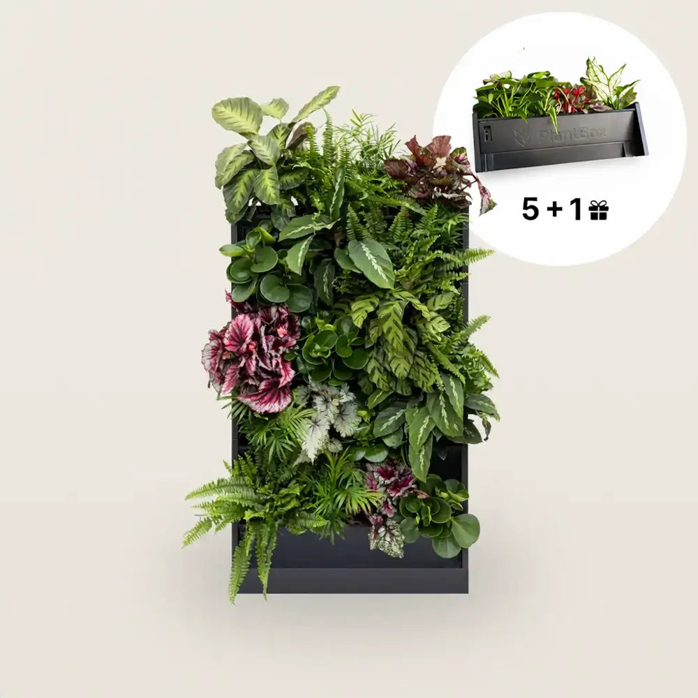 PlantBox - Živá stena 5 modulov