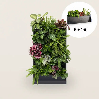 PlantBox - Živá stena 5 modulov