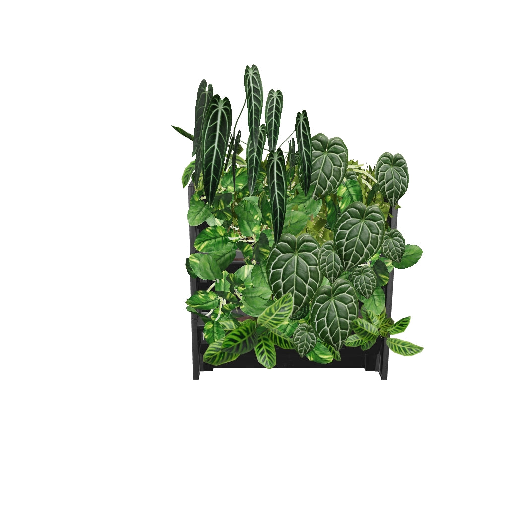 PlantBox - Živá stena 3 moduly