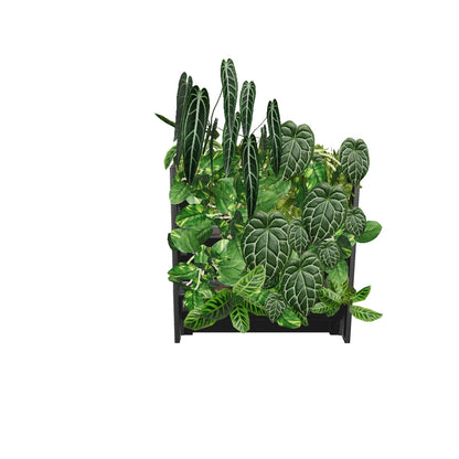 PlantBox - Živá stena 3 moduly