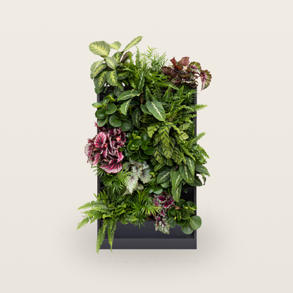 PlantBox - Živá stena 5 modulov