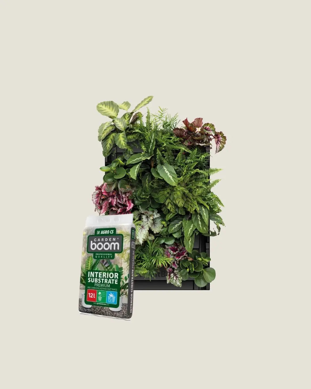 Balíček 3x Plantbox + interiérový substrát